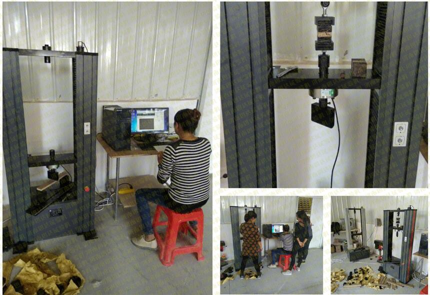 �����K������������f��ԇ�(y��n)�C(j��)�͑��F(xi��n)��(ch��ng)�D